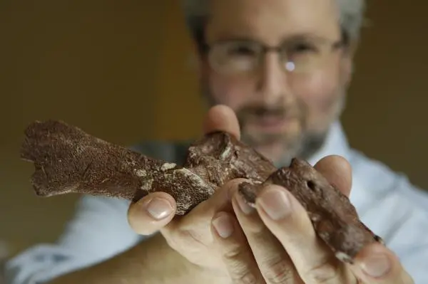 Neil Shubin Tiktaalik roseae Neil Shubin Tiktaalik roseae