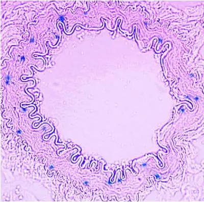 Prostaglandin F2-alpha Receptor Prostaglandin F2-alpha Receptor