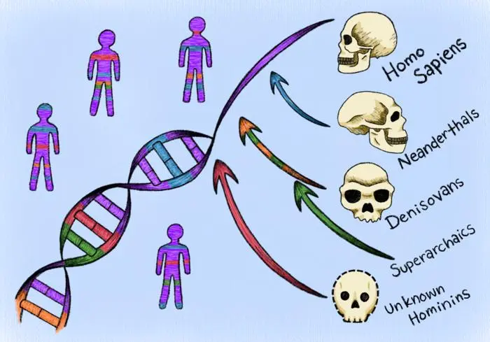 the_ghost_in_our_dna_machine