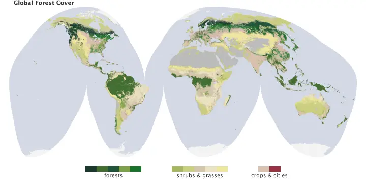 Global forest cover