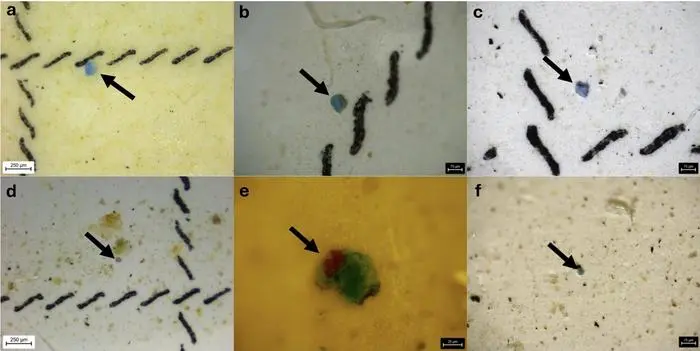 microplastics_are_the_new_vaccines_cause_autism_craze