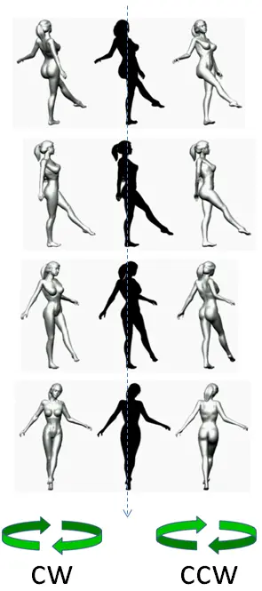 silhouette illusion and depth ambiguity. silhouette illusion and depth ambiguity.