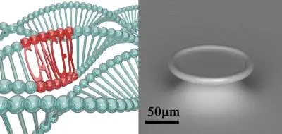 real-time nanolaser DNA imaging to locate carcinogens