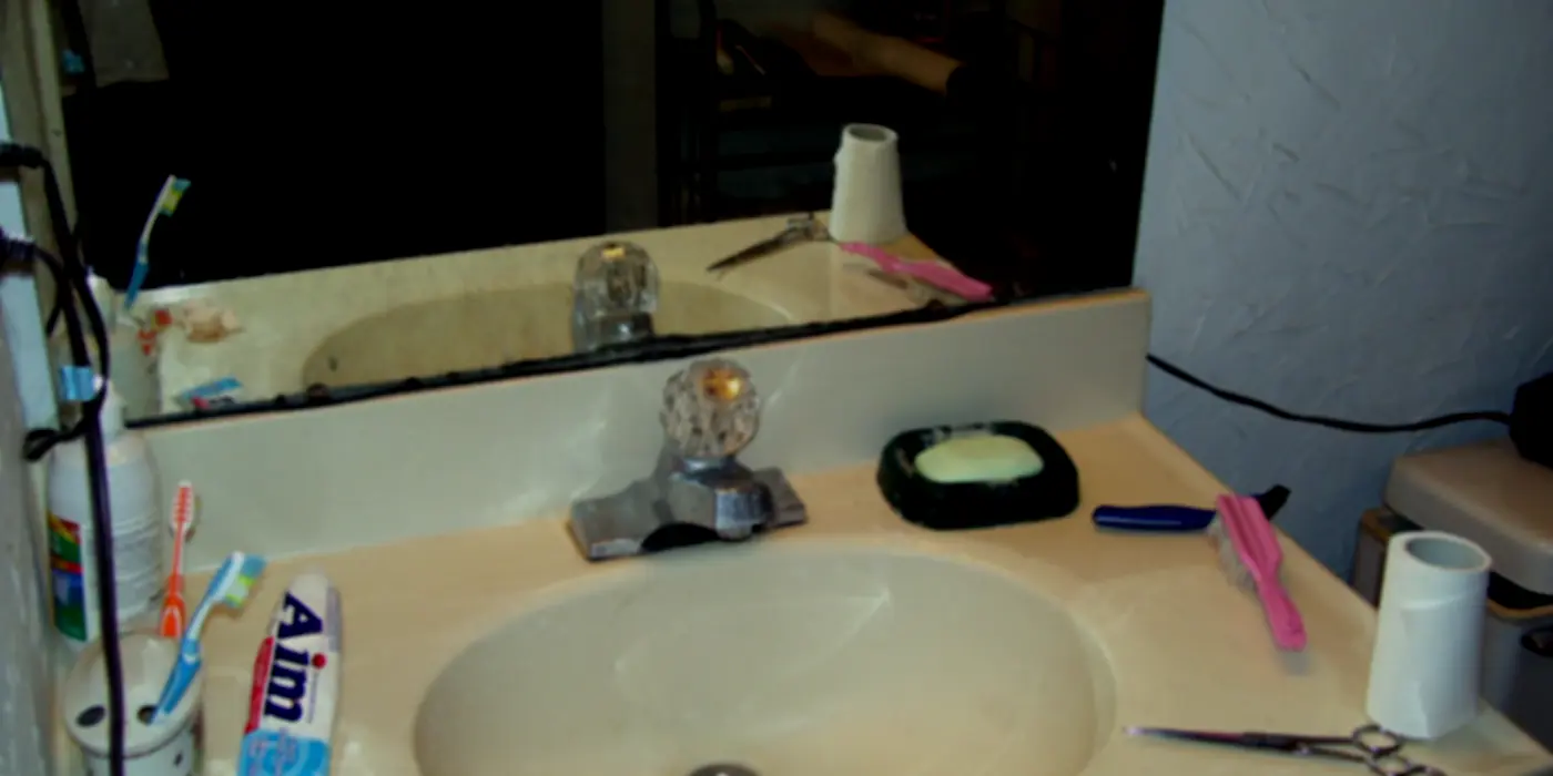 An Interesting Encounter With Some Co-Habitating Ants