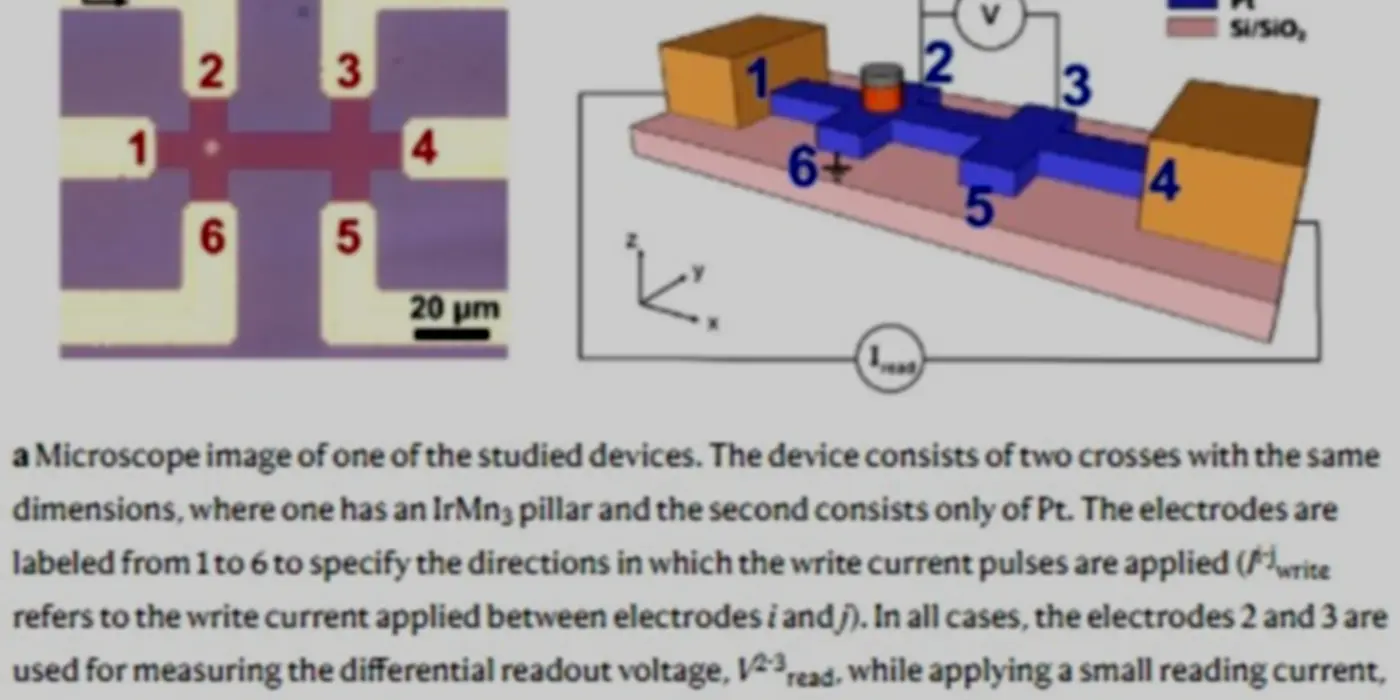AFM Research Opens New Doors in Storage and Processing Media