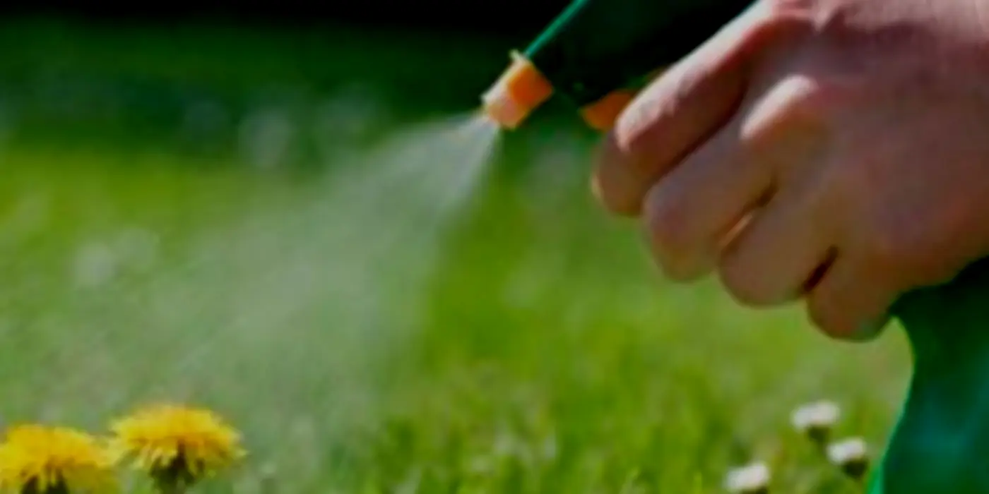 EPA Refuted A Meta-Analysis Claiming Glyphosate Can Cause Cancer And Senior Author Lianne Sheppard Doubled Down