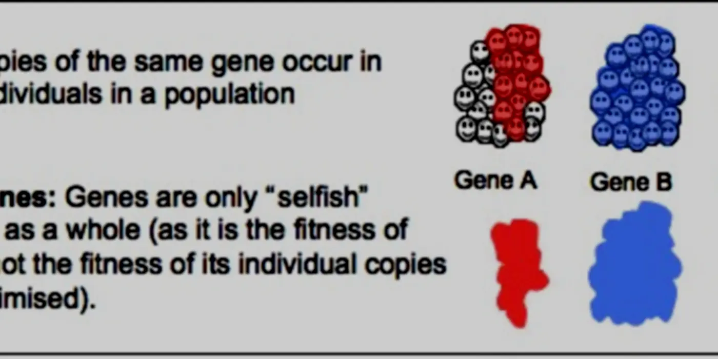 Selfish Gene Confusion And Its Interdisciplinary Roots