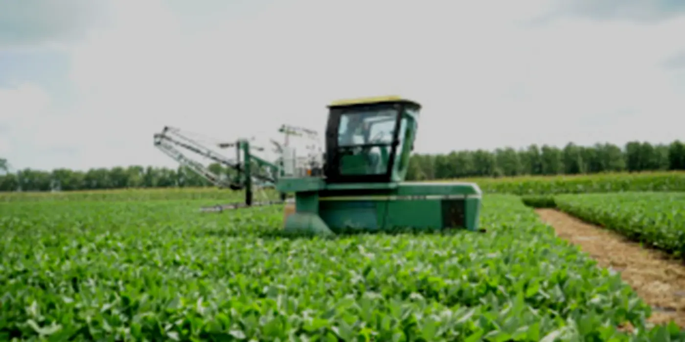 Is It Immoral To Oppose The Use Of Pesticides?