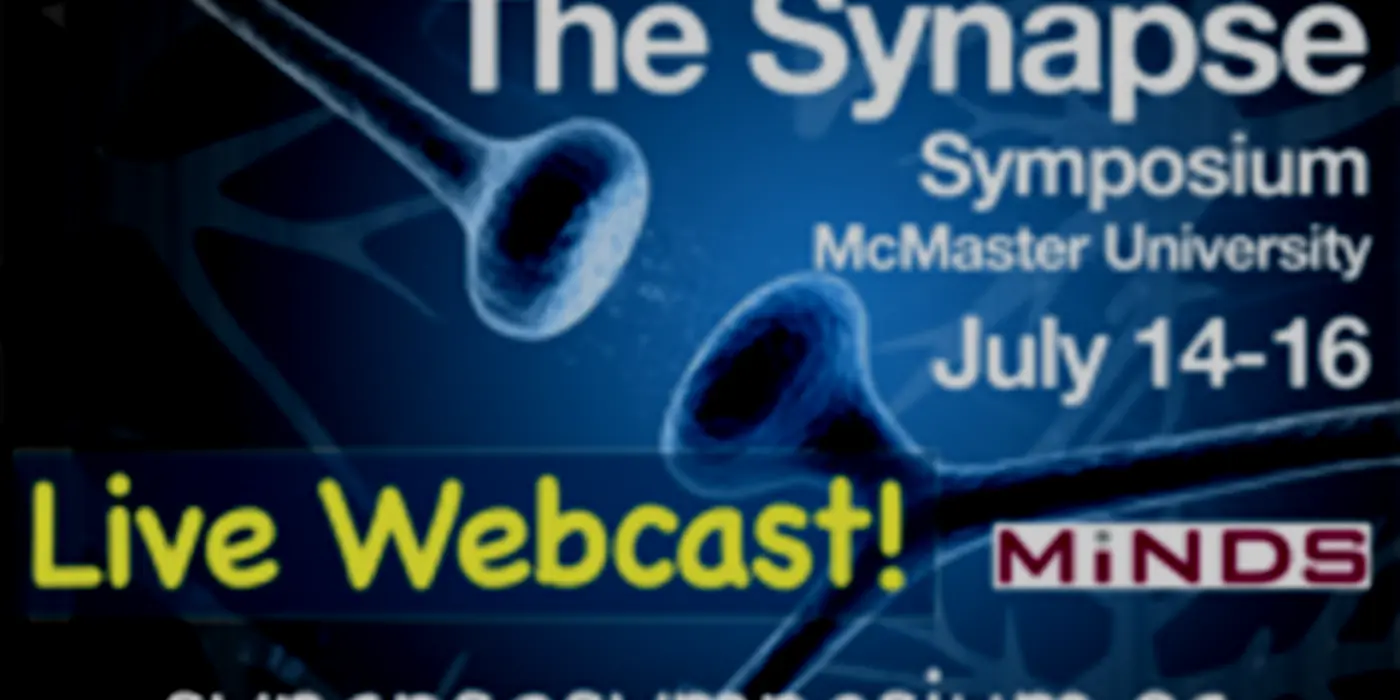 Getting Fired Up About Synapses