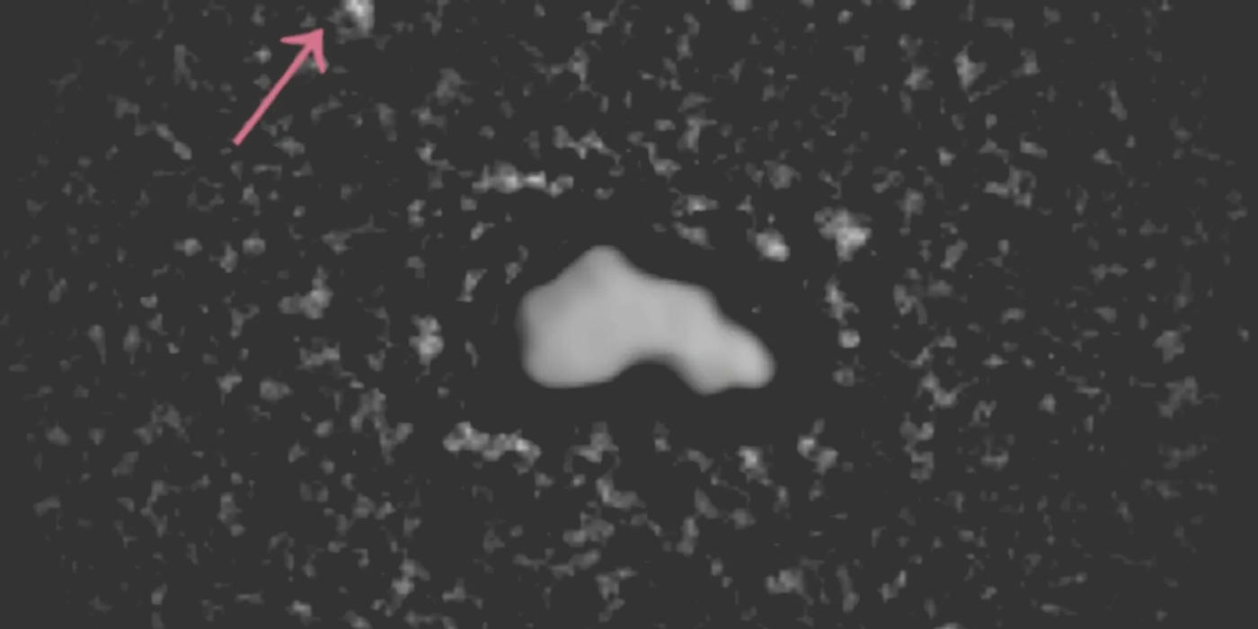 s_2026_44_1
