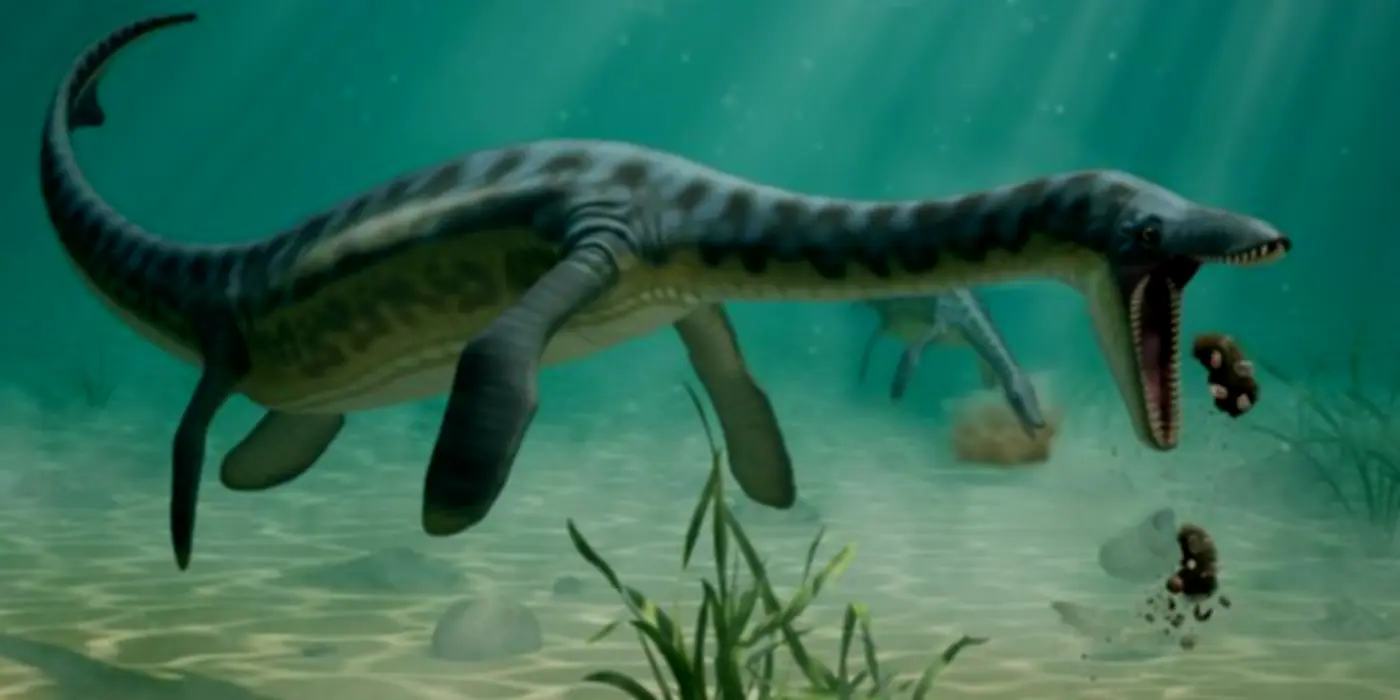 Jurassic Puke: Plesiosaurs Knew Not To Vomit Where They Eat