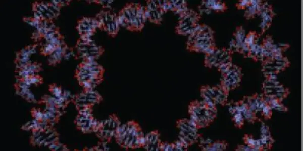 'Programmed' Oligonucleotides Organize Themselves Into Dodecahedra - Yes, It's A DNA Softball