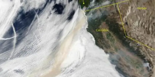 The Toll Of Wildfire On Forest Soils