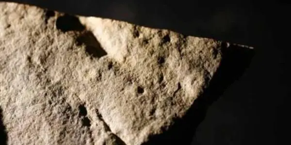 570 Million Year Old Tracks In Nevada Are Earliest Animal Footprints Ever Found
