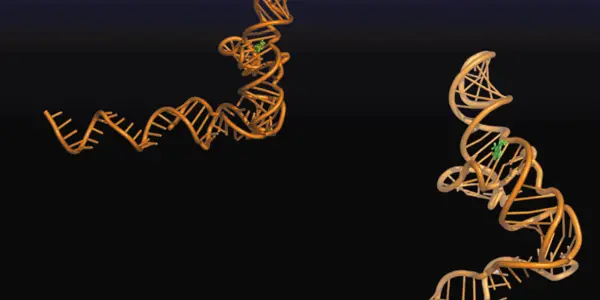 'Plug-and-Play' Synthetic RNA Device