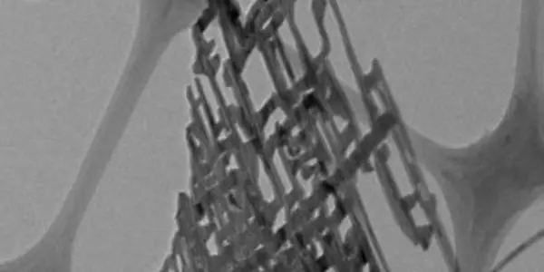 Nanonets May Boost Energy 'Harvesting'