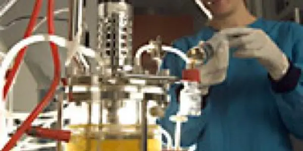 New Fatty Acids Discovered - But For Mechanical Engineering