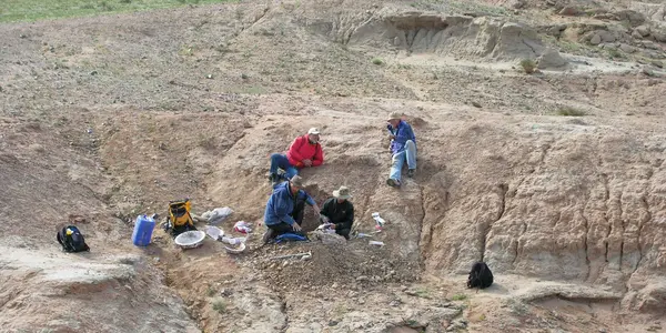 New Cerasinops Hodgskissi Species Of Dinosaur Is Link Between American And Asian Dinosaurs