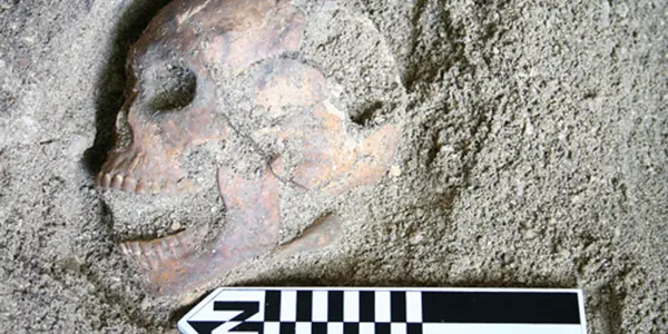 Anthropology Fight - Micronesian 'Dwarfs' Were Not Hobbits, Says Study