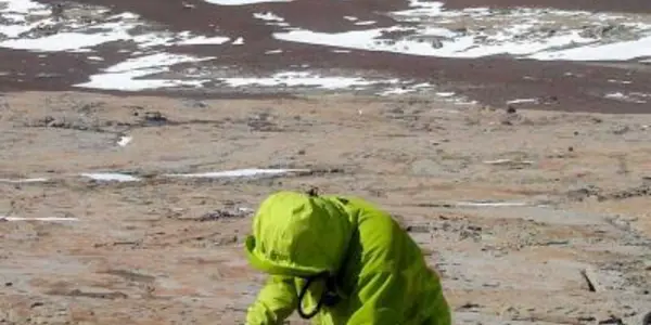 Found: 245 Million Year-Old Fossilized Burrows Of Tetrapods