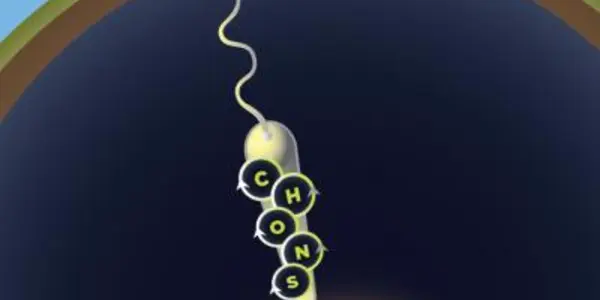Real Life Journey To The Center Of The Earth Finds First Ecosystem With A Single Species