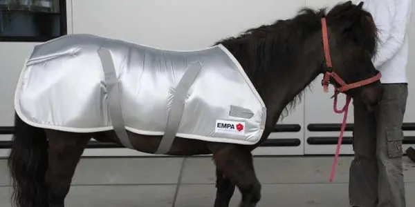 It Isn't Just Humans Using Special Materials In The Olympics - Horses Do Too