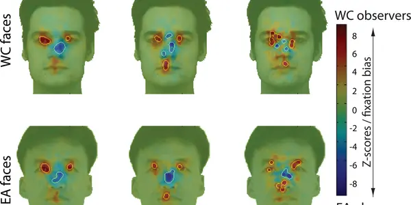 Facial Recognition Is Cultural, Not Universal