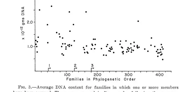 Fishy phylogenetics figures found.