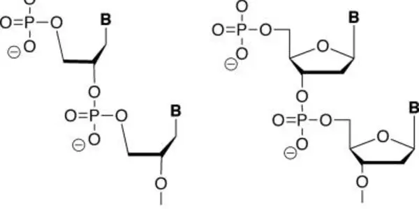 GNA:  DNA's Chemical Cousin Is A Nanotechnology Building Block