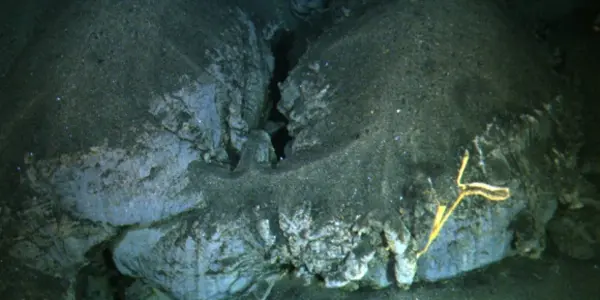 Fire And Ice: Explosive Volcanoes Found Under Ice-Covered Arctic Ocean