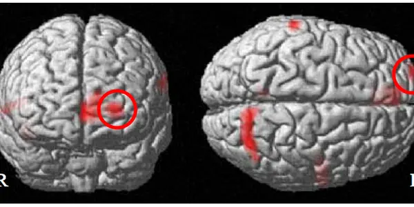 'Self-Control' is to 'Sudoku;' can you end addiction with analogies?