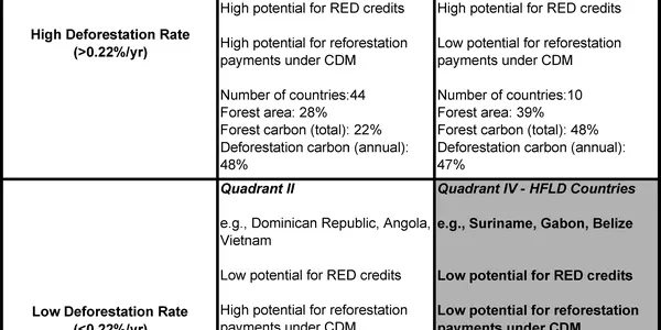 Carbon Market Puts 20 Percent Of Tropical Forest At Risk
