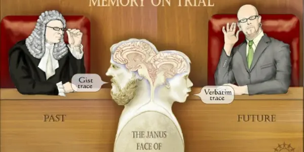 Meanings Versus Events And The Accuracy Of Adult Memory Versus Children's