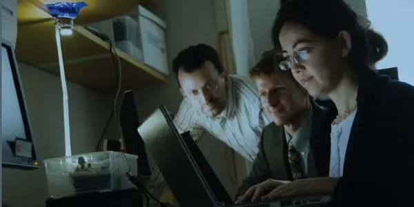 Wireless Networking Using Light Instead Of Radio Waves