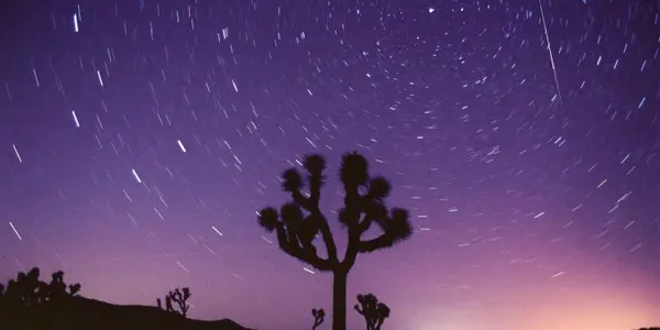 Annual Perseid Meteor Shower Maximum Is August 12th