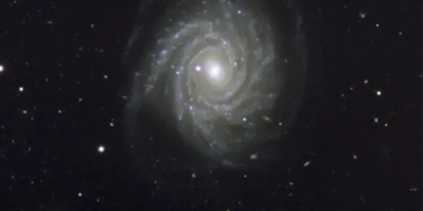 Supernova In NGC 1288