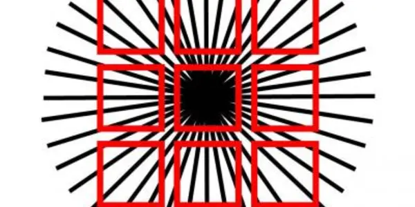 Our Visual System Has 'Future Seeing' Powers - Study