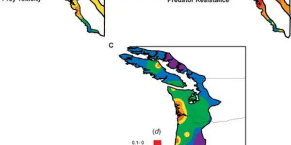 Snakes Versus Newts In The Evolutionary Arms Race