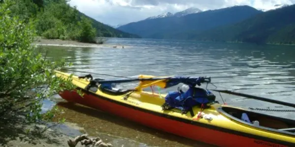 Grizzly Encounter on the Bowron Lakes