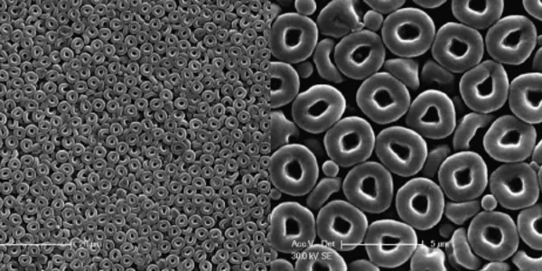 Cells Love For Micro-Doughnuts Could Improve Side Effects From Chemotherapy