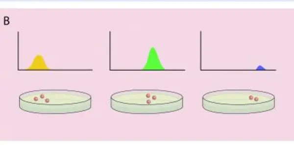 Systems Biology - How Stem Cells Decide What They'll Be