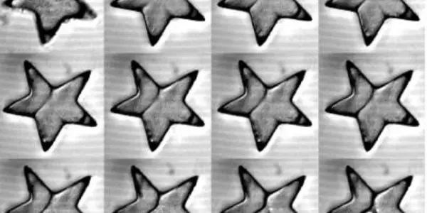 Shaping The Artistic Symmetry Of Cells