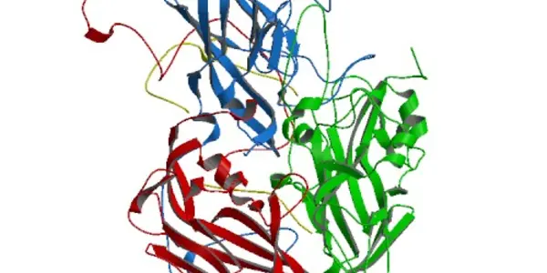 Senecavirus Structure Revealed (Oh, And It Still Kills Cancer Cells 10,000 Times Better Than Traditional Chemotherapeutics)