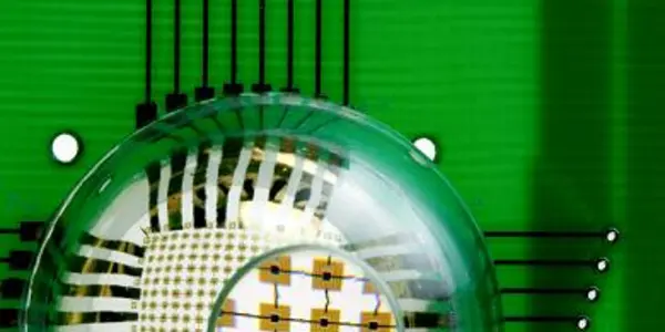 Today, Stretchable Optoelectronics - Tomorrow, Artificial Retina