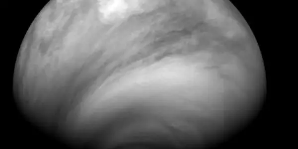 Evolution Of Venus - Too Fast And Too Slow
