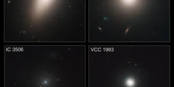 Virgo Cluster Shows The Galactic Cannibalism of Messier 87