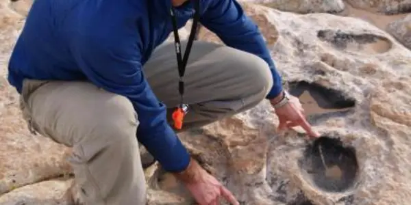 What Do You Call A Huge Concentration Of Jurassic Footprints?  A Dinosaur Dance Floor, Of Course