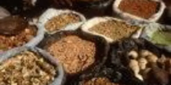 African Traditional Medicine Gets Its First International Clinical Trial