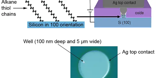NIST Is Building The 'Evolutionary Link' Between Chips Of Today And Future Organic Ones