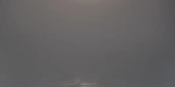 Arctic Ocean Ecosystem Analysis Shows Thinner Ice